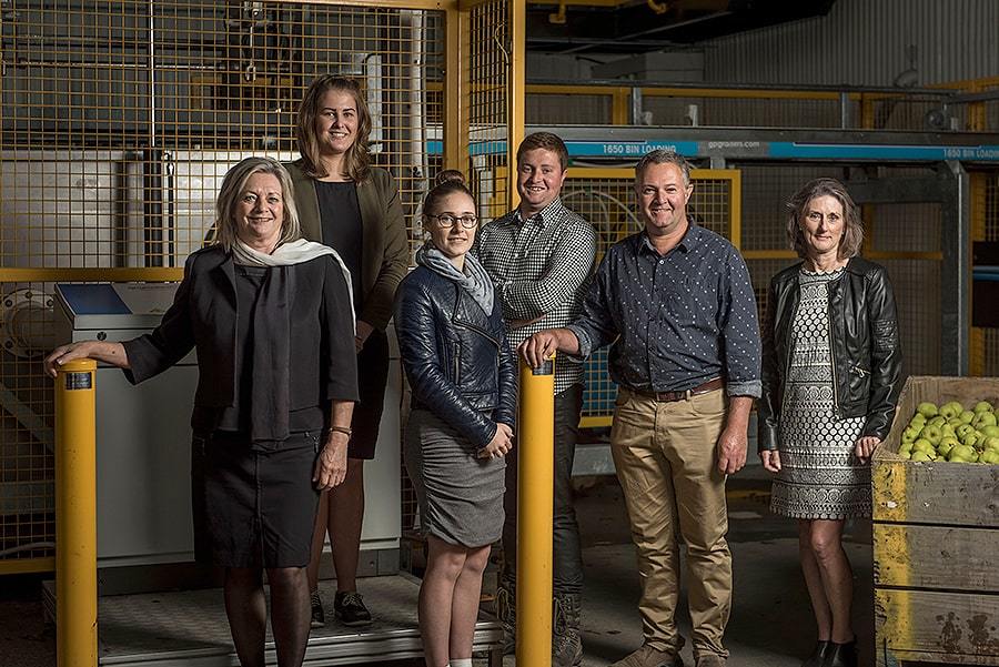 Echodale Marketing Ltd – Switch to Accredo bears fruit for growing South Island wholesaler